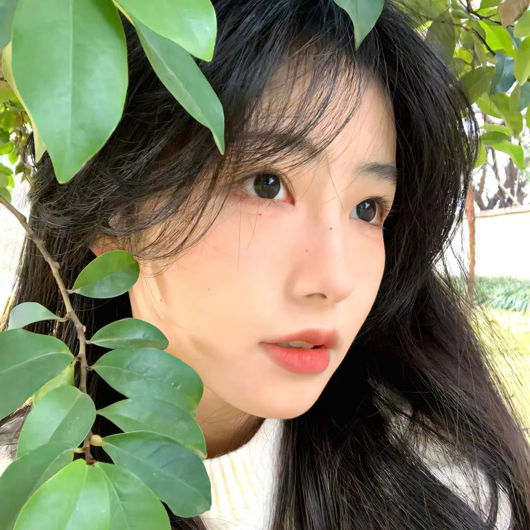 绿茵春色